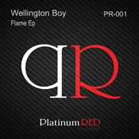 Wellington Boy - Flame Ep