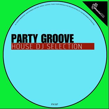 Various Artists - Party Groove (House DJ Selection)