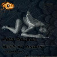 Pete Robson - Back In Heaven