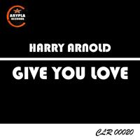 Harry Arnold - Give You Love