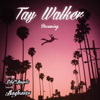 Aayhasis - Dreaming (feat. Tay Walker) - Single