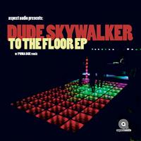 Dude Skywalker - To The Floor