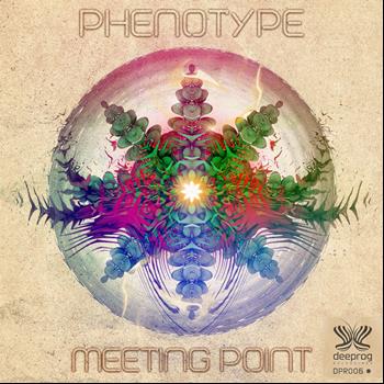 Phenotype - Meeting Point