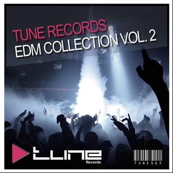 Various Artists - Tune Records EDM Collection Vol 2