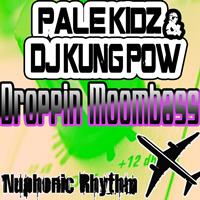 Pale Kidz - Droppin Moombass EP