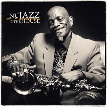 Various Artists - Nu Jazz in the House