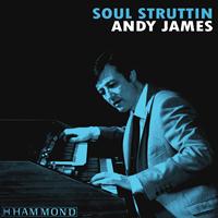Andy James - Soul Struttin