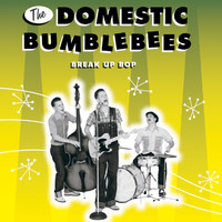 The Domestic Bumblebees - Break up Bop