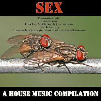 Various Artists - Sex: A House Music Compilation