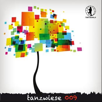Various Artists - Tanzwiese 009