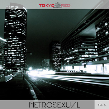 Various Artists - Metrosexual, Vol. 5
