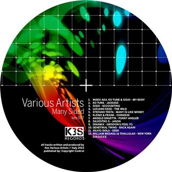 Various Artists - Many Sided