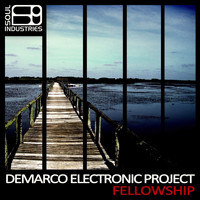 Demarco Electronic Project - Fellowship
