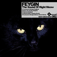 Feygin - The Sound of Right Meow