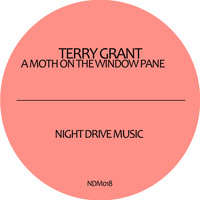 Terry Grant - A Moth On the Window Pane