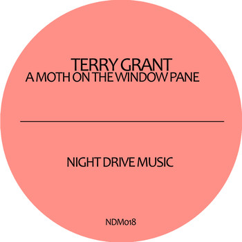 Terry Grant - A Moth On the Window Pane
