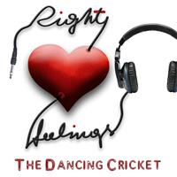 The Dancing Cricket - Right Feelings