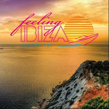 Various Artists - Feeling Ibiza, Vol. 1