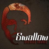 Swallow - Overdue Orange