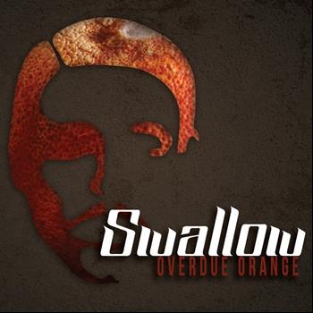 Swallow - Overdue Orange