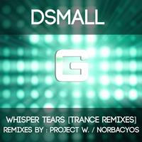 DSmall - Whisper Tears (Trance Remixes)