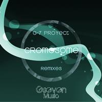 G-7 Proyect - Cromosome