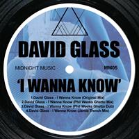 David Glass - I Wanna Know