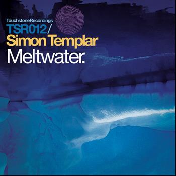 Simon Templar - Meltwater