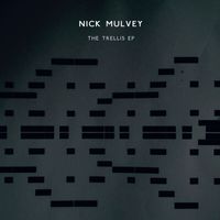 Nick Mulvey - The Trellis EP