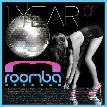 Various Artists - 1 Year of Roomba Records
