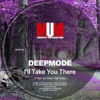 Deepmode - I'll Take You There