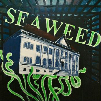 Seaweed - Seaweed