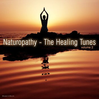 Various Artists - Naturopathy - The Healing Tunes, Vol. 2
