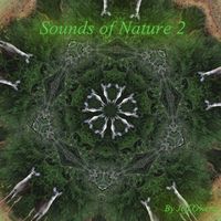 Jeff Owens - Sounds of Nature 2