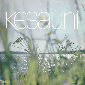 Various Artists - Kesäuni