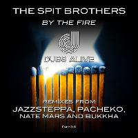 The Spit Brothers - By the Fire