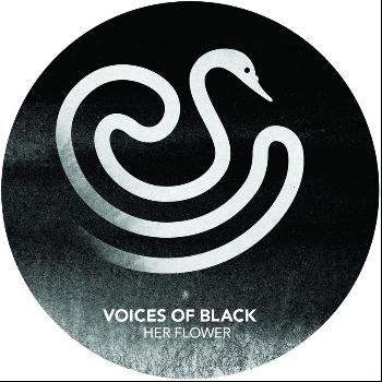 Voices Of Black - Her Flower