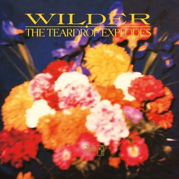 The Teardrop Explodes - Wilder (Remastered Expanded Edition)