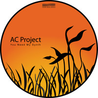 AC Project - You Need My Synth (Explicit)