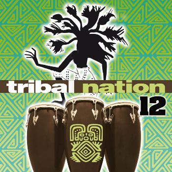 Various Artists - Tribal Nation 12