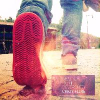 Crazy Fluke - Destroy or Be Destroyed - Single