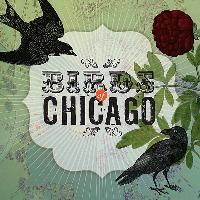 Birds of Chicago - Birds of Chicago