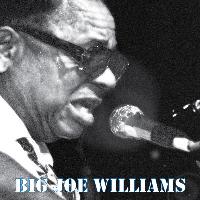Big Joe Williams - Big Joe Williams