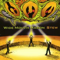Wide Mouth Mason - Stew