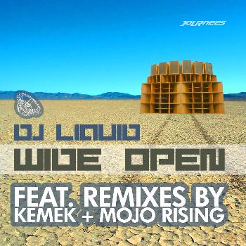 DJ Liquid - Wide Open