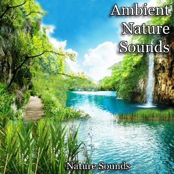 Nature Sounds - Ambient Nature Sounds