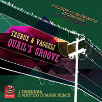 Taurus & Vaggeli - Quail's Groove