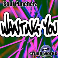 Soul Puncherz - Wanting You