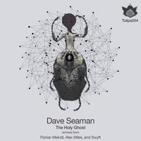 Dave Seaman - The Holy Ghost