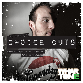 Various Artists - Choice Cuts Volume 002 Mixed By Ted Nilsson